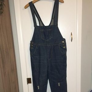 Denim Distressed Overalls